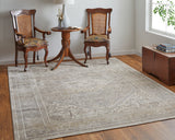 Feizy Celene Traditional Medallion - Tan/Brown/Ivory Area Rug