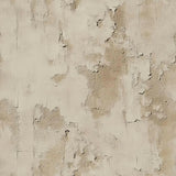 Faded Tuscan Plaster Wall