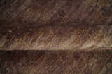 5.10x8.6 Hand Knotted Brown Overdyed Antique Finish Traditional Wool Rug | N34569