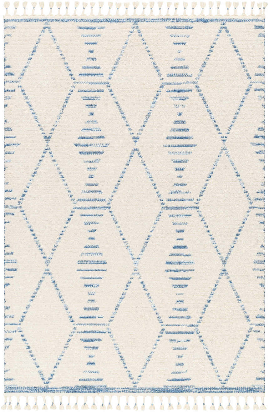 Sample Agnes Area Rug - Clearance