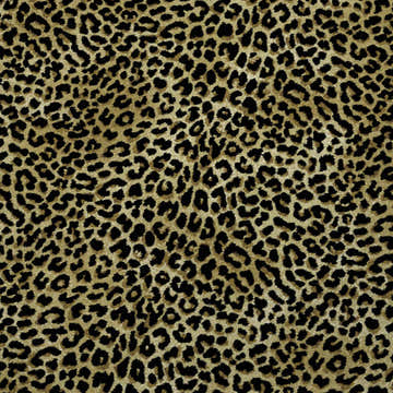 Close-up of the Dalyn Akina AK2 Gold Washable Area Rug featuring a black and gold leopard print pattern.