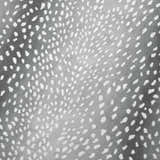 Close up of the Dalyn Akina AK3 Flannel Washable Area Rug, featuring a gray background and a white dotted pattern.