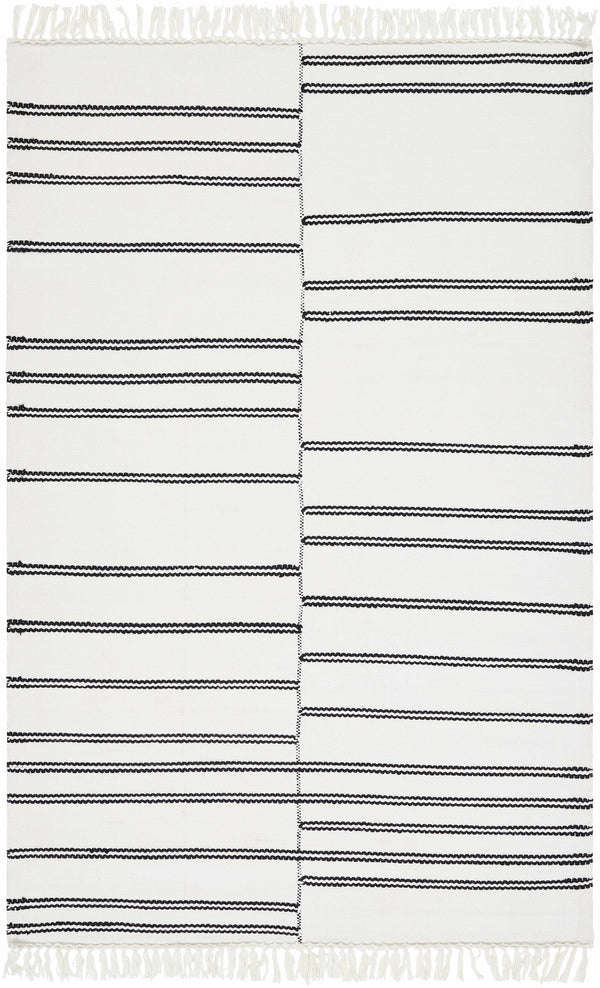 Sample Akash Area Rug