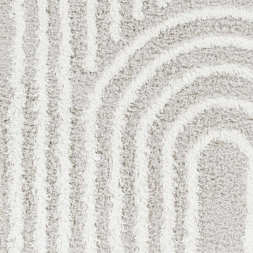 Sample Akela Shag Area Rug - Clearance