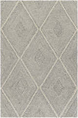 Sample Amari Area Rug - Clearance