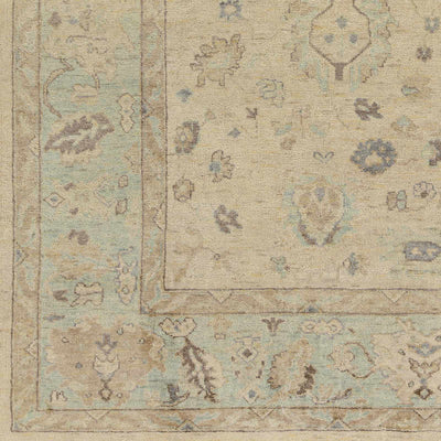 Sample Americus Area Rug