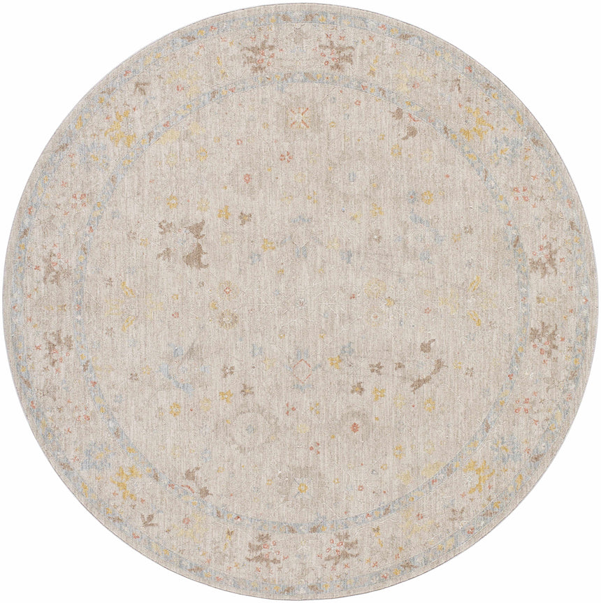 Amina Oushak Area Rug