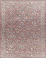 Detailed close-up of the Amio Washable Printed Jute Rug. Features a traditional oriental pattern in red, taupe, and blue hues. Design-Rectangle-710102