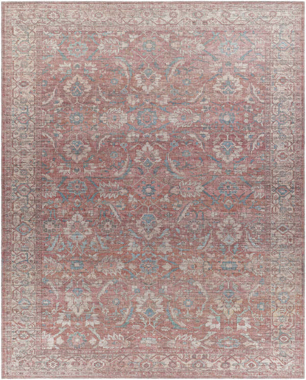 Detailed close-up of the Amio Washable Printed Jute Rug. Features a traditional oriental pattern in red, taupe, and blue hues. Design-Rectangle-710102