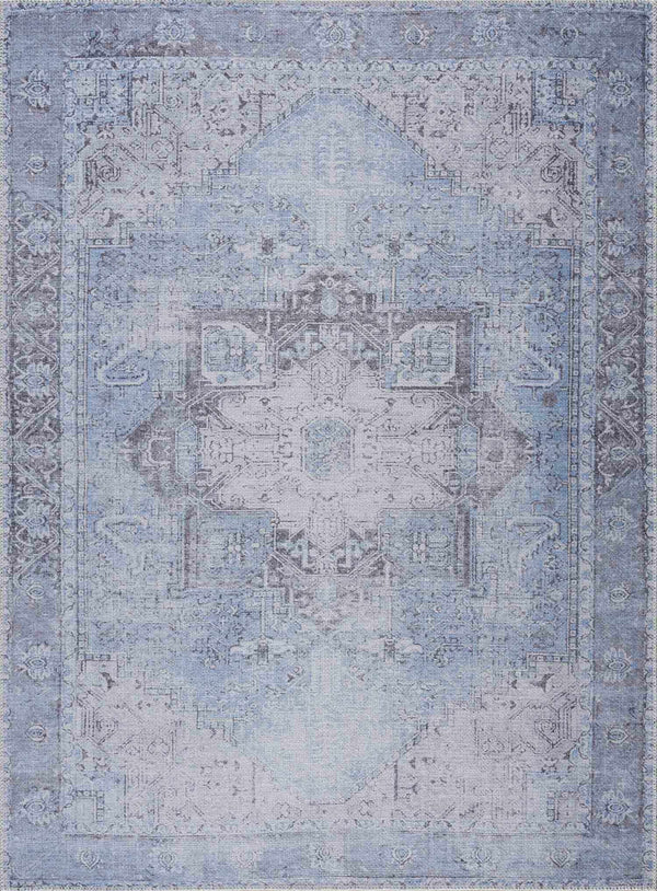 Aqua Rosman Washable Area Rug - Clearance