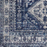 Sample Andes Blue Area Rug