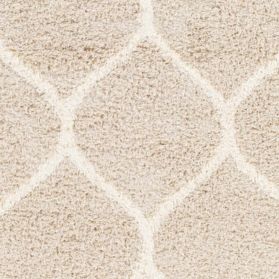 Sample Arnau Shag Area Rug