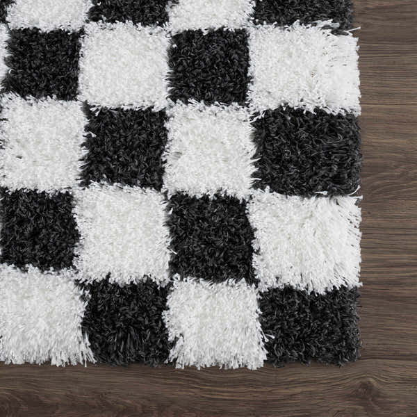 Sample Atira Black & White Checkered Area Rug