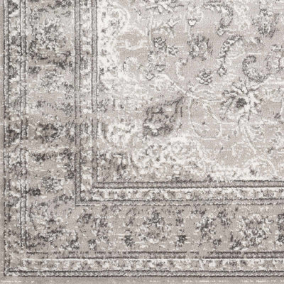 Sample Eytientiro Area Rug