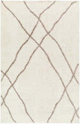 Sample Awnan Area Rug - Clearance
