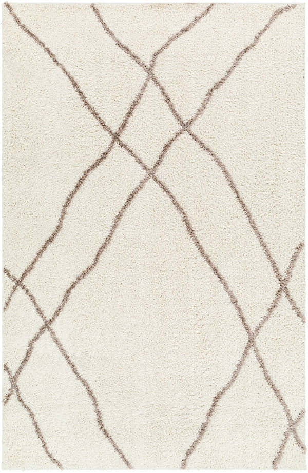 Sample Awnan Area Rug - Clearance