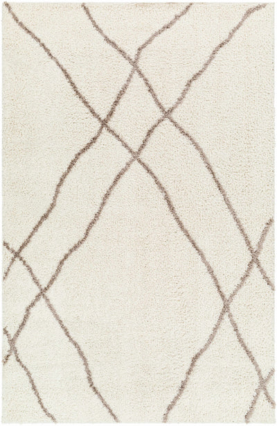 Sample Awnan Area Rug