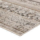 Close-up of the Dalyn Antalya AY1 Taupe Area Rug. Beige, cream, and tan tones with a traditional, distressed pattern.