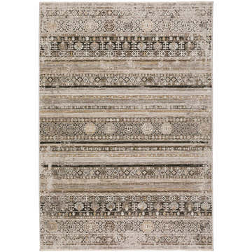 Close-up of the Dalyn Antalya AY1 Taupe Area Rug. Beige, cream, and brown tones with traditional, farmhouse-style patterns.