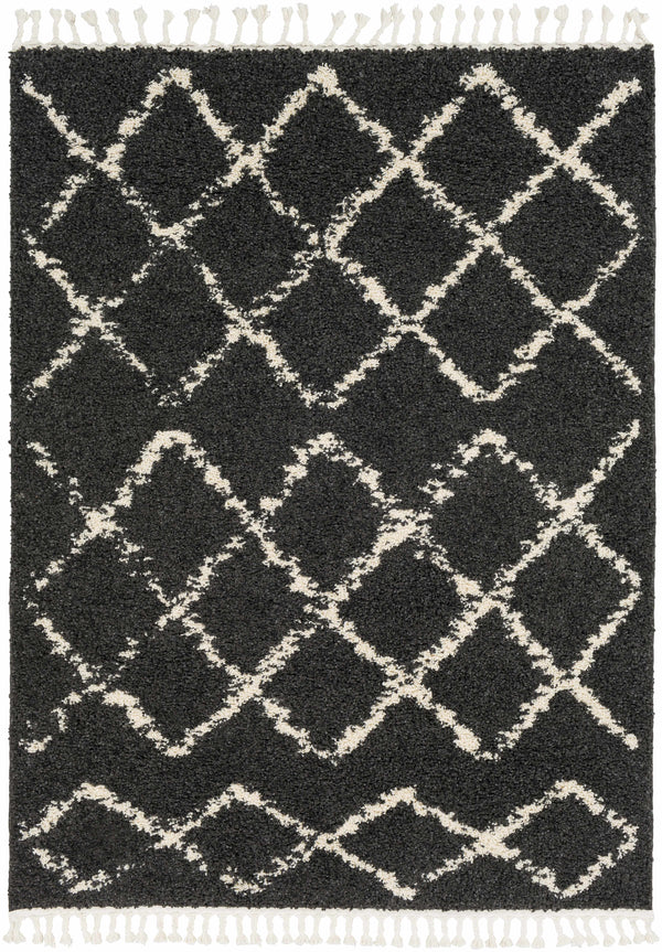 Sample Ayden Area Rug