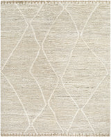 Aysu   Area Rug - Clearance