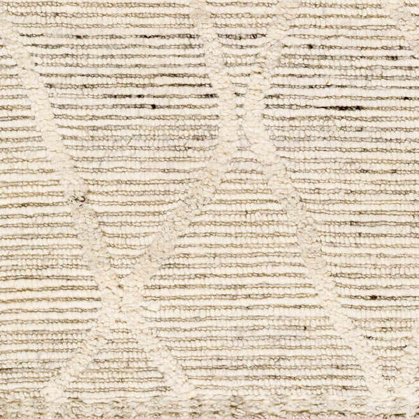 Sample Aysu   Area Rug - Clearance