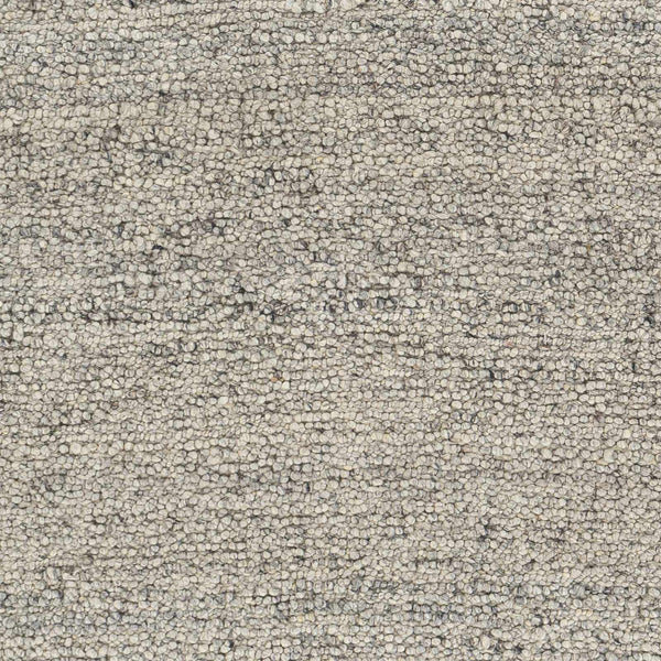 Sample Basiao Area Rug