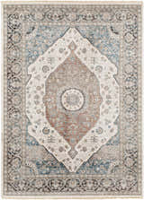 Detailed Baychester Area Rug in cream, denim, and brown. Traditional oriental rug with a central medallion pattern. Design-Rectangle-537