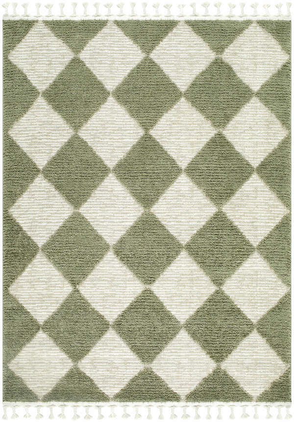Close-up of the Aitana Area Rug. Cream and olive green diamond pattern with tassels. Contemporary style. Design-Rectangle-537