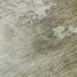 Close-up of the Dalyn Luxury Indoor/Outdoor Bresca BC2 Wheat Washable Area Rug. Neutral beige, tan, and ivory tones.