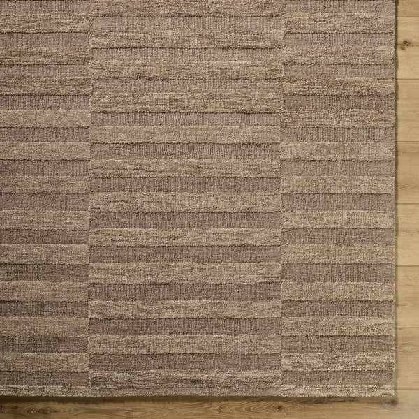Sample Idaho Broken-Striped Brown Area Rug