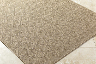 Bandit Brown Area Rug