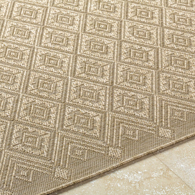 Bandit Brown Area Rug