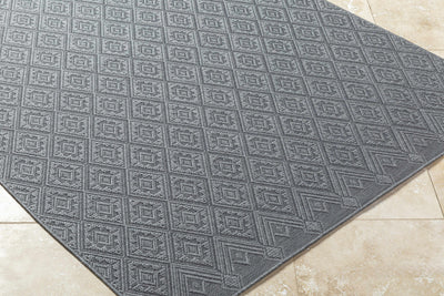 Bandit Gray Area Rug