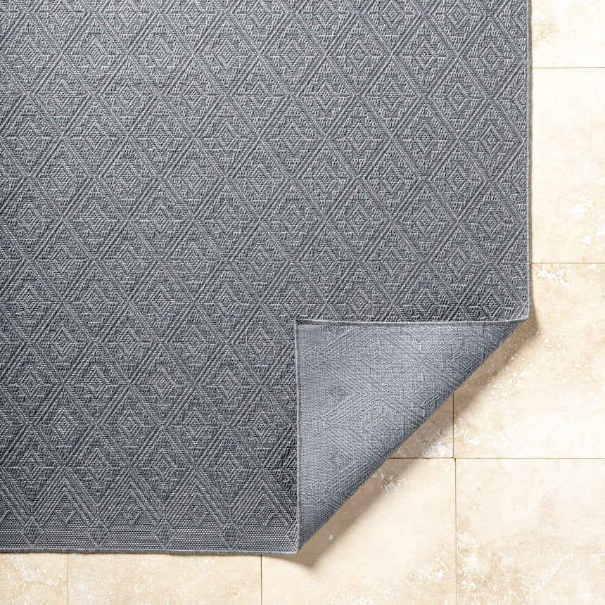 Bandit Gray Area Rug