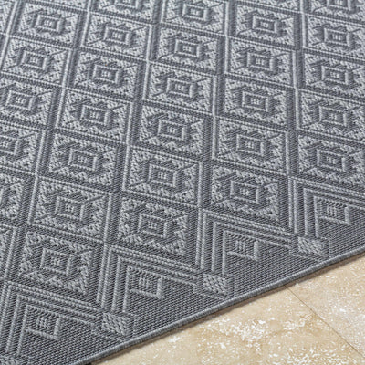 Bandit Gray Area Rug