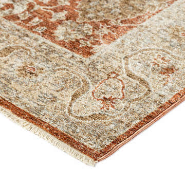 Close-up of the Dalyn Bergama BE6 Paprika area rug showing its traditional brown, ivory, and paprika floral pattern.