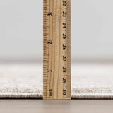 Beausejour Oushak Area Rug