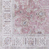Sample Bergman Distressed Red Area Rug