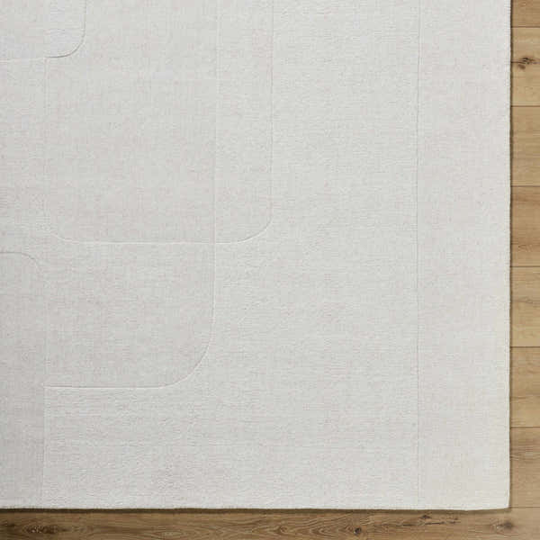 Sample Butrus Area Rug