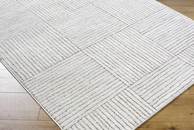 Basira Ivory & Brown Area Rug