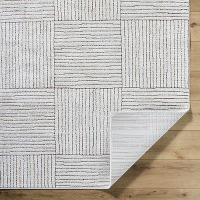 Basira Ivory & Brown Area Rug