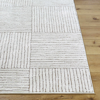 Basira Ivory & Brown Area Rug