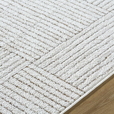 Basira Ivory & Brown Area Rug