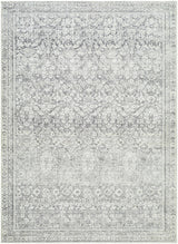Collins Avenue Machine Woven  Galey Alix x LIVABLISS GACA-2303 Area Rug