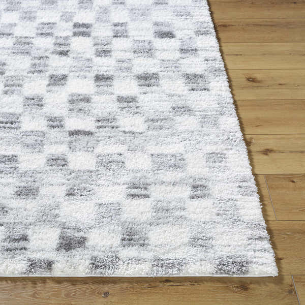 Sample Aneska Area Rug