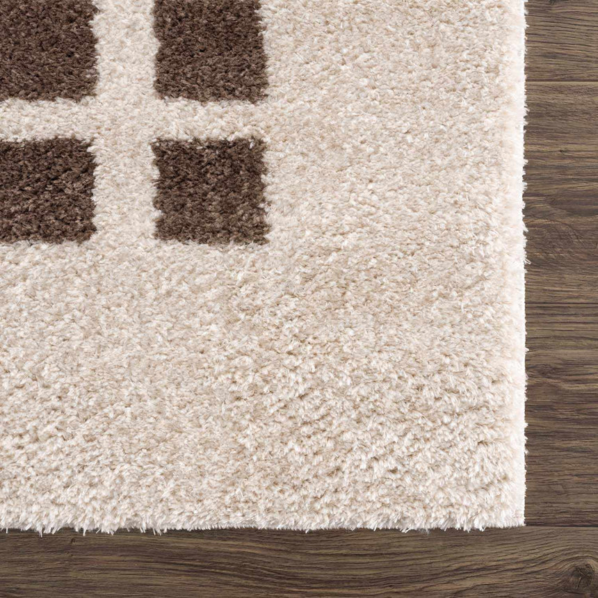 Baback Brown Washable Area Rug