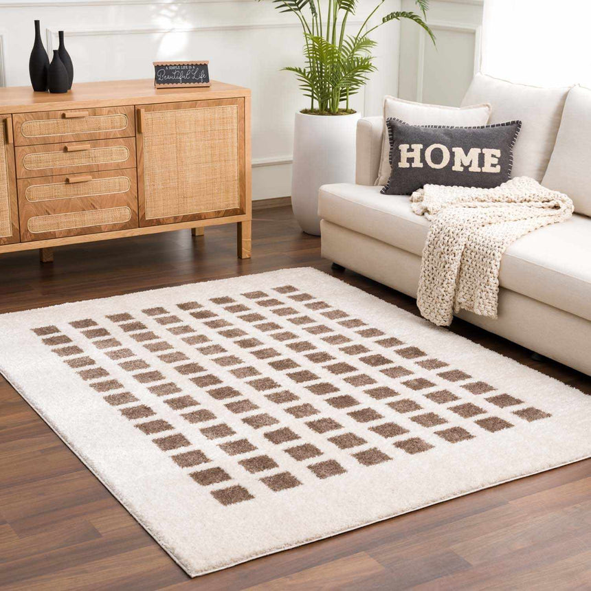 Baback Brown Washable Area Rug