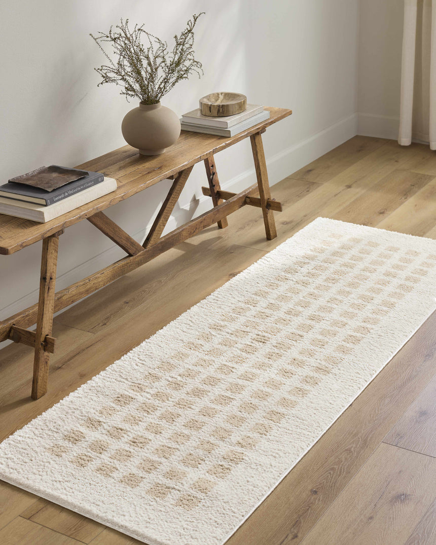 Baback Beige Washable Area Rug