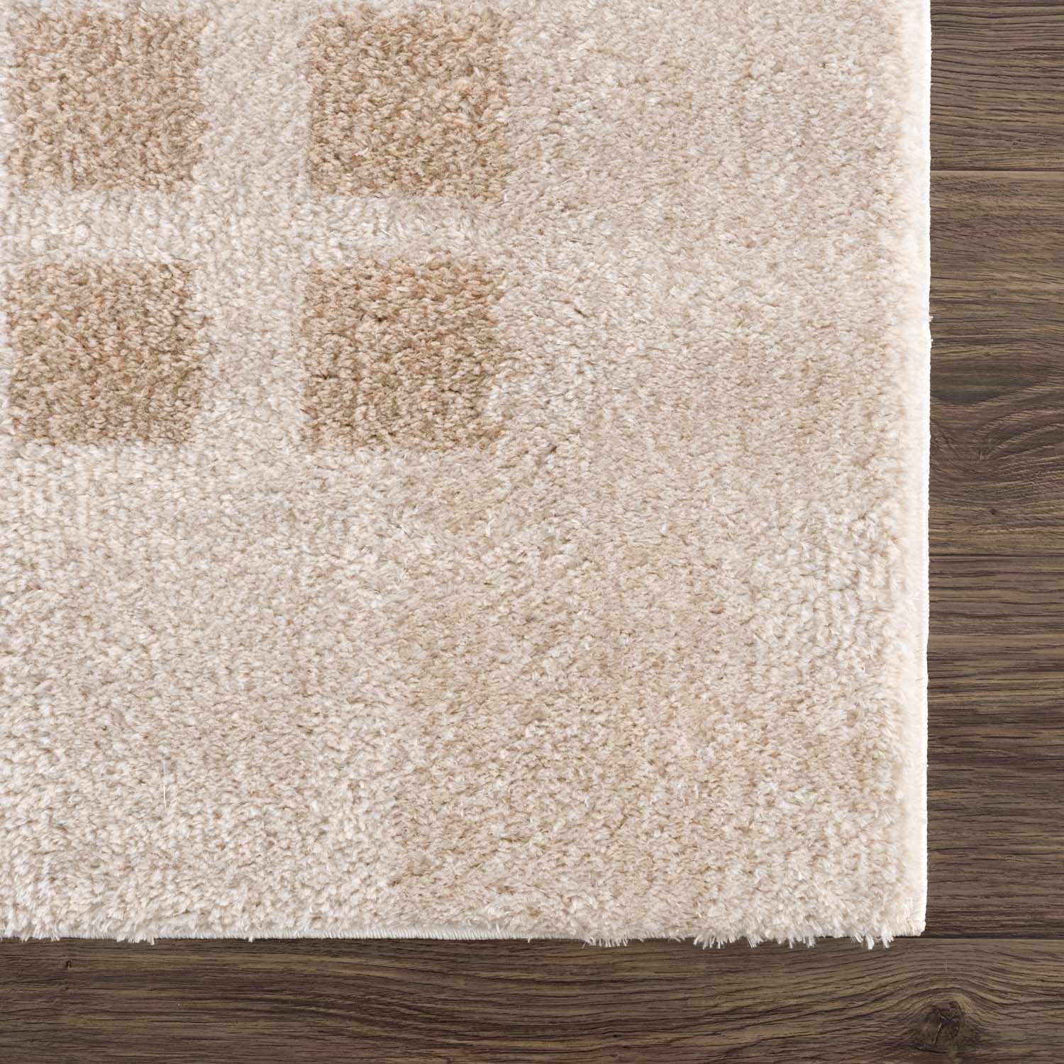 Baback Beige Washable Area Rug
